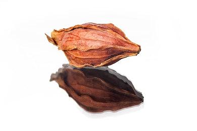 片冈智代表AVG《120日元》将于2021年1月发售